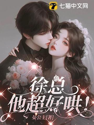 徐总的免费阅读