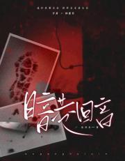 暗声回廊下凶手