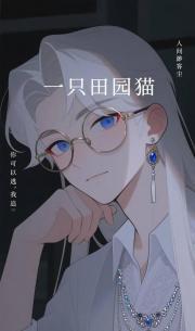 一只田园猫的串