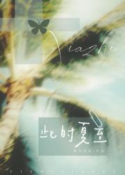 时至夏至什么意思