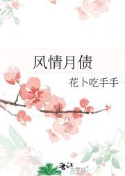风情月债阿舟讲什么