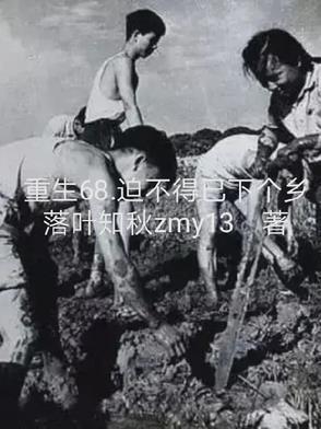 迫不得已下个乡洛城