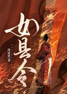 女县令陆晨阳阅读