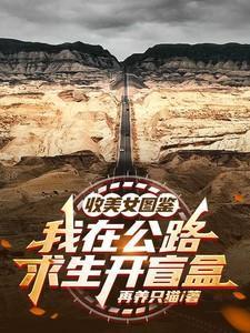 我在公路求生开盲盒 完整版