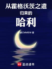 哈利波特霍格沃茨之谜