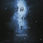 锂和镁的相似性