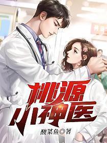 桃源小神医王晨最新章节更新