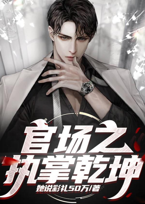 官场之风起云涌完结闪舞