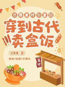 摆摊卖盒饭开始暴富TXT