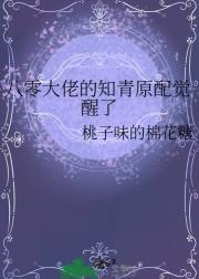 七零知青男配[穿书