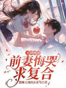 天降老婆免费阅读