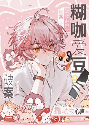 饭圈糊咖什么意思