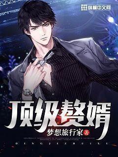 顶级赘婿全集完整版