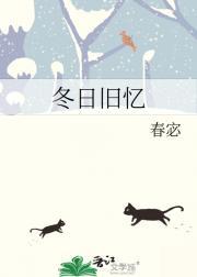 冬日回忆录