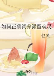 如何正确饲养滞留魂灵的动物