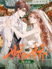 结婚三年不回家?七零娇娇要离婚txt全文免费阅读