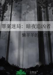 暗夜追凶 不是何阳