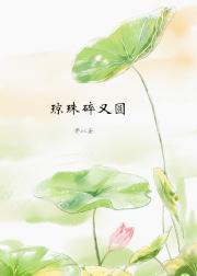 琼珠碎圆讲了什么