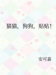 猫猫狗狗好模板