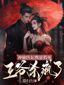 神偷医妃携崽假死