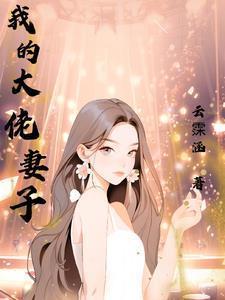 我的大佬老婆txt