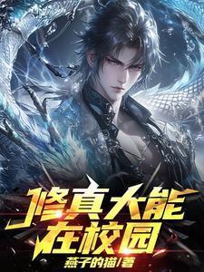 修真大能在校园的修炼境界