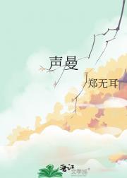 声曼电子科技有限公司