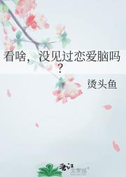 没恋爱脑什么意思