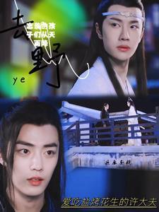 忘羡的孩子们从天而降23