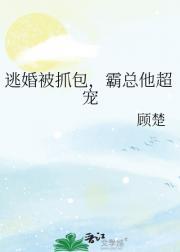 逃婚被总裁抓回去