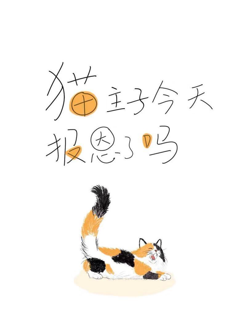 猫咪报恩真实故事