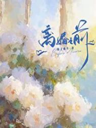 离婚之前 漫漫何其多讲的什么