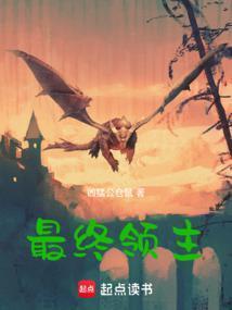最终领主txt