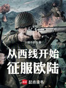 从西线开始征服欧陆免费阅读