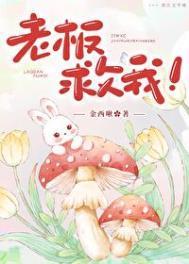 老板救我免费阅读