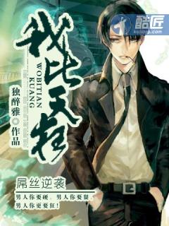 我比天狂装甲悍将