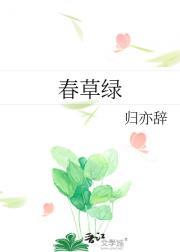 春草绿叶布满地