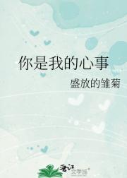 你是我的心事 英语