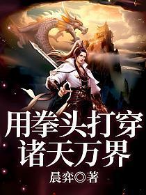 用拳头打穿诸天万界顶点