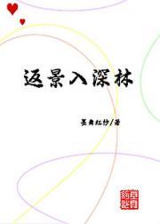 返景入深林中的景意思是什么