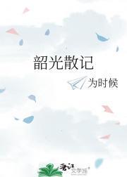 韶光读音是什么意思