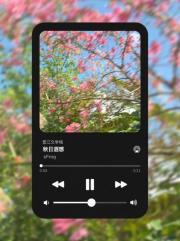 秋日遐想议论文800字