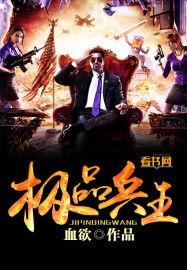 极品兵王俏总裁杨风