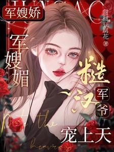 军嫂文完结
