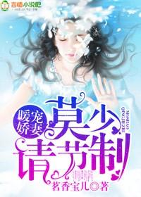 莫少的暖婚新妻