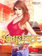 神级兵王系统北叶