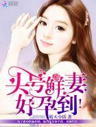 头号鲜妻令撒旦老公枕边爱免费阅读