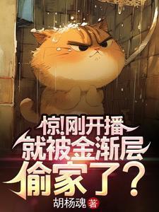 金渐层宠物猫