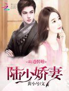 陆少霸爱甜宠妻
