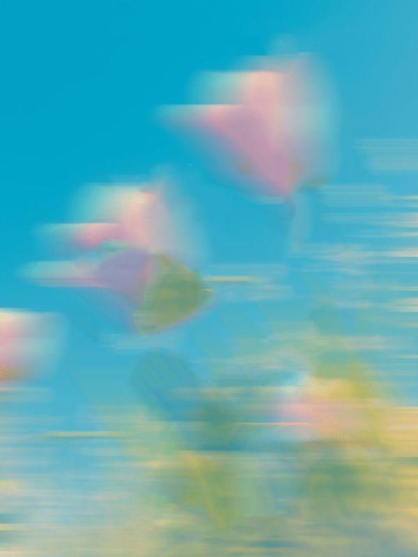 高考举报作弊多久出结果